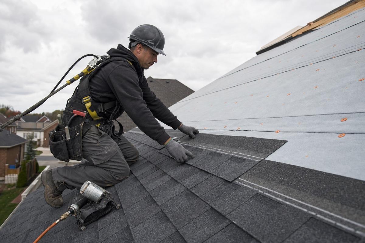 A roofer in a safety harness laying charcoal asphalt shingles over underlayment on a residential roof
