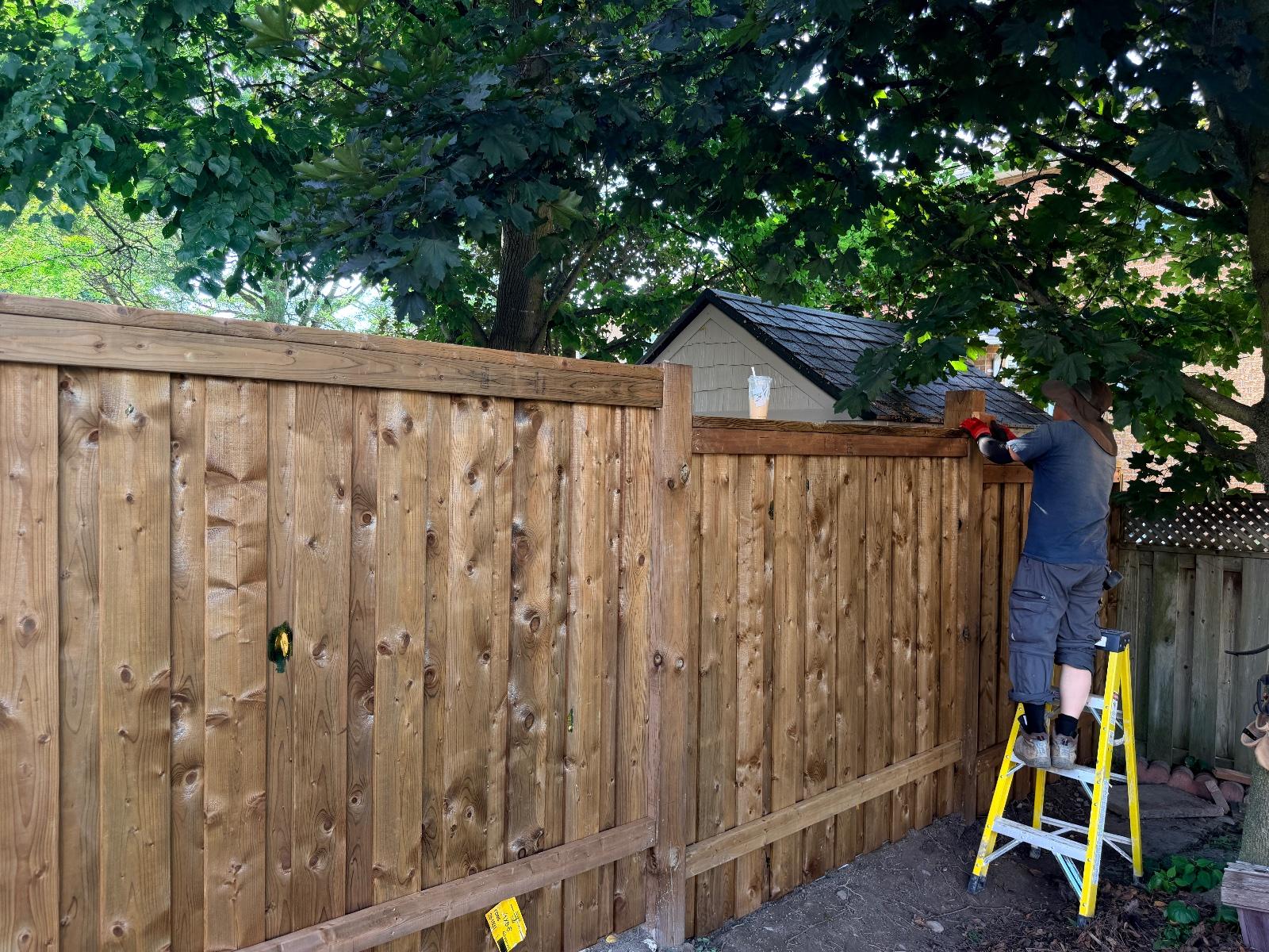 Fences work by 365 Landscape