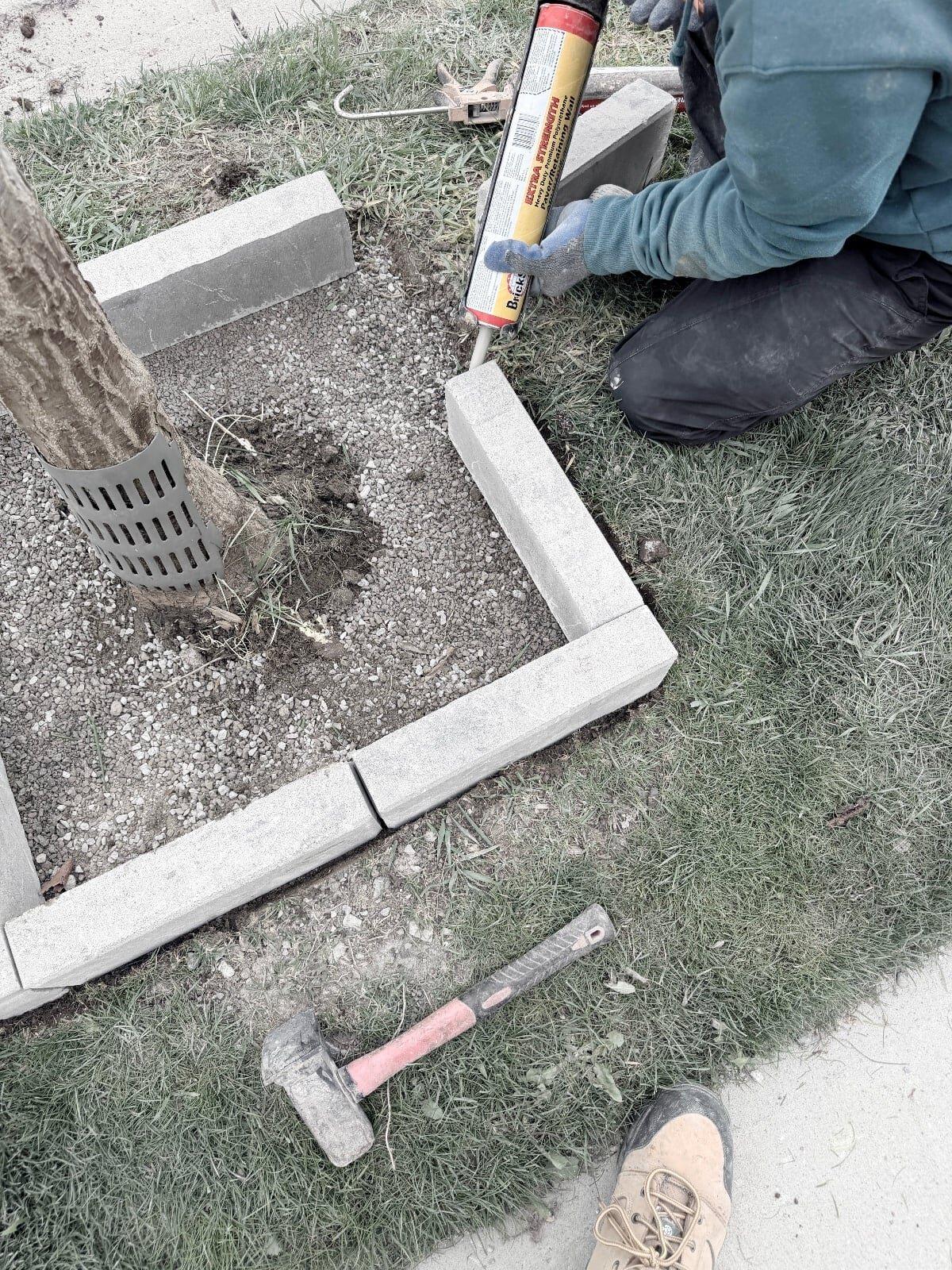 Garden design work by 365 Landscape