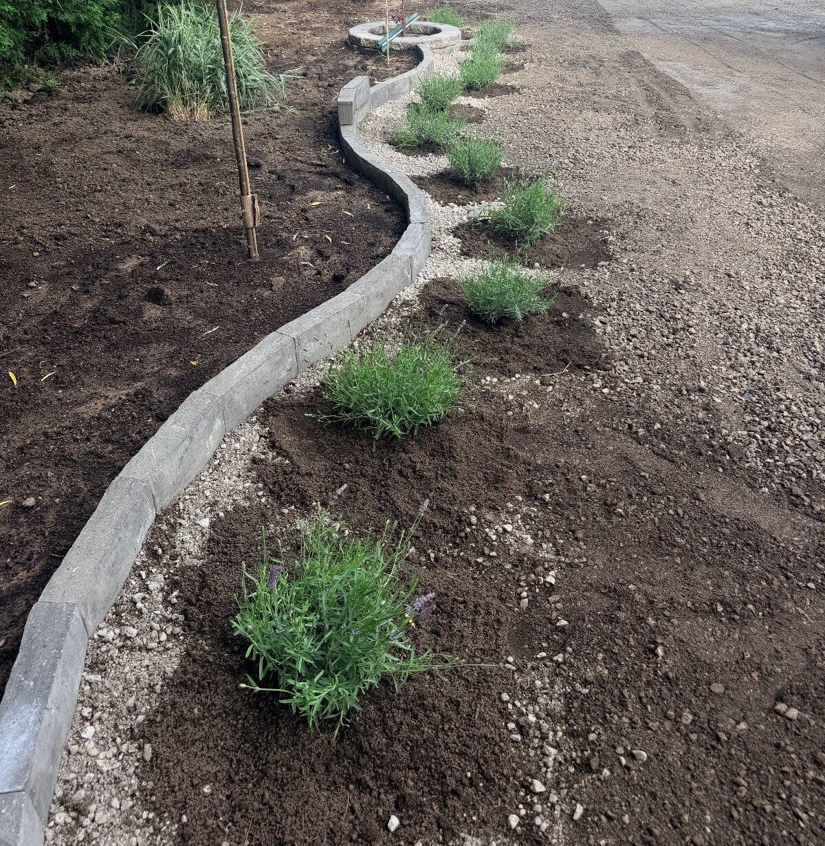 Garden design work by 365 Landscape