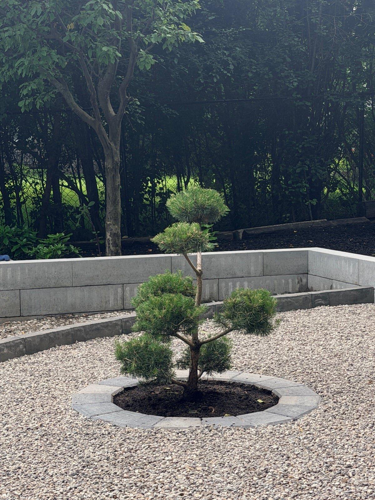 Garden design work by 365 Landscape