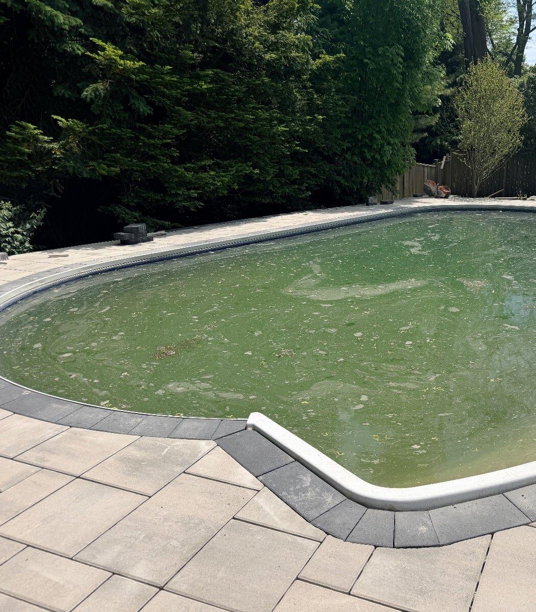 Garden design work by 365 Landscape