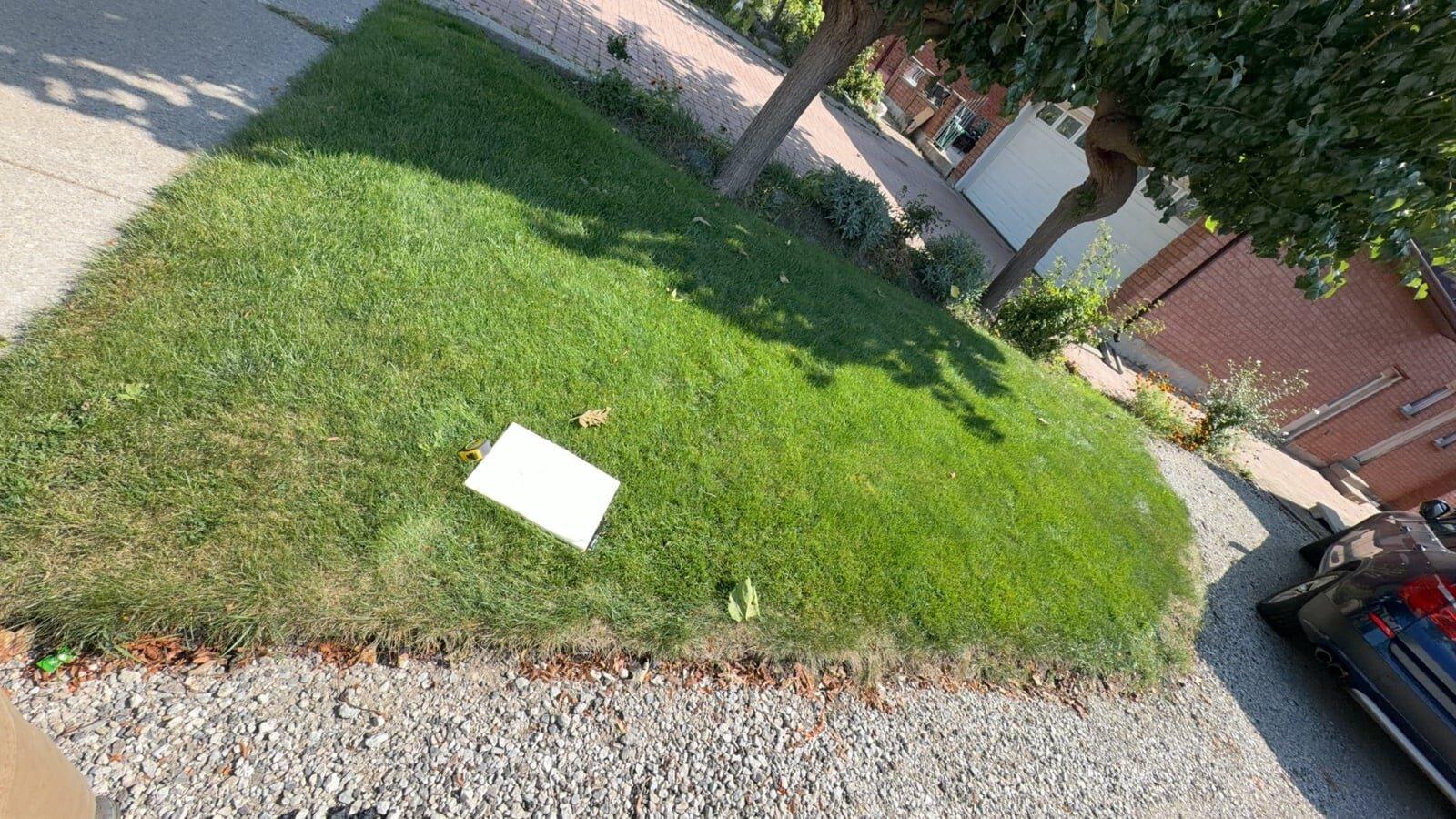 Garden design work by 365 Landscape