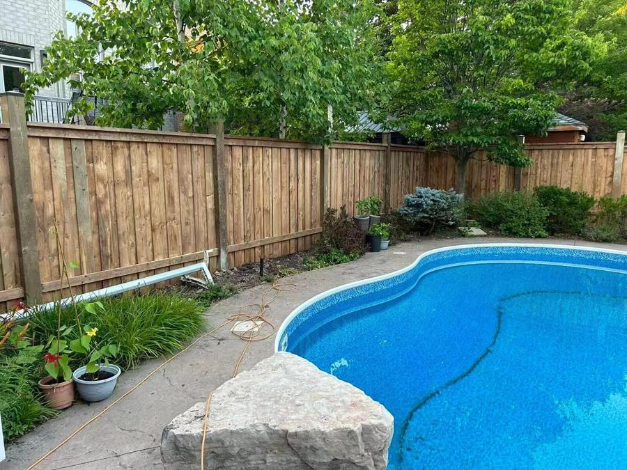 Kidney-shaped pool with a paver surround and plantings