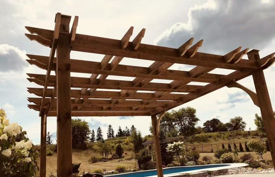 Timber pergola with open rafters overlooking a poolside garden